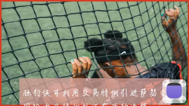 独行侠可利用交易特例引进萨瑟合同除中产特例外还有两种选择