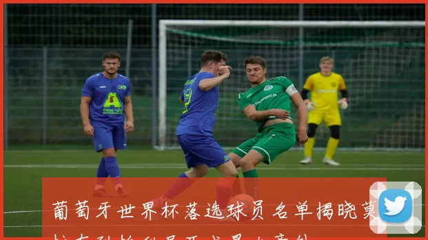 葡萄牙世界杯落选球员名单揭晓莫拉在列帕利尼亚成最大意外
