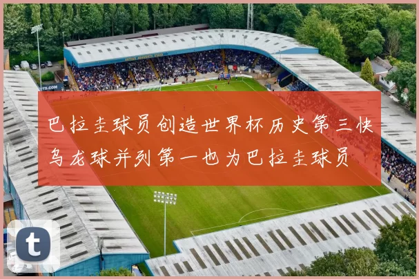 巴拉圭球员创造世界杯历史第三快乌龙球并列第一也为巴拉圭球员